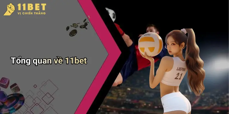 Tổng quan về 11bet